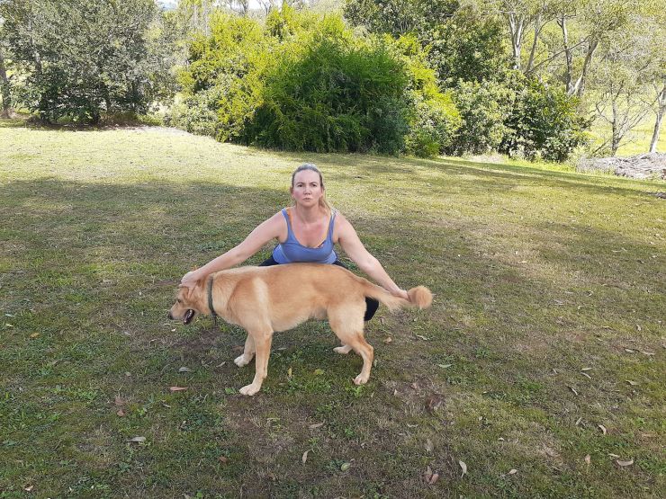 Updated At Home Membership Options